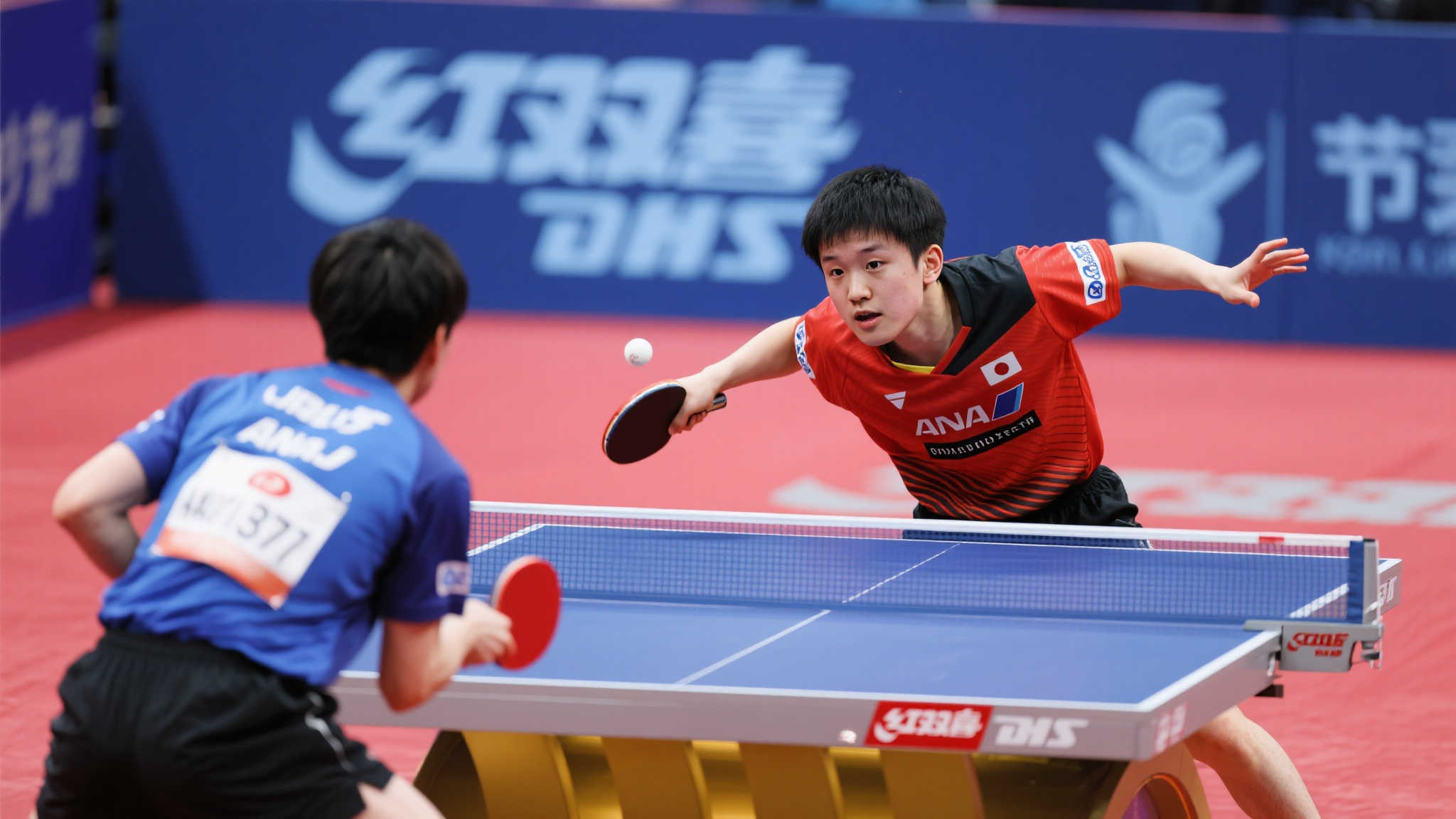 回了自信 回了自信